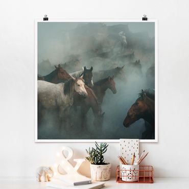 Poster - Wild Horses