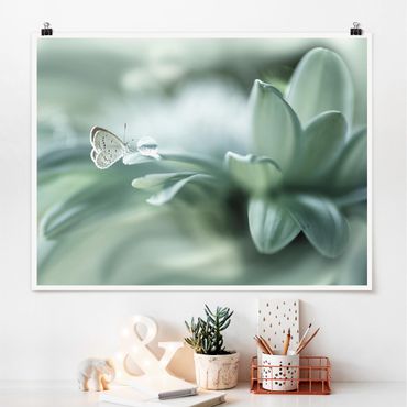 Poster - Butterfly And Dew Drops In Pastel Green
