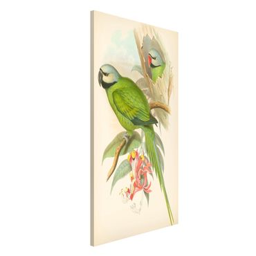 Magnetic memo board - Vintage Illustration Tropical Birds II