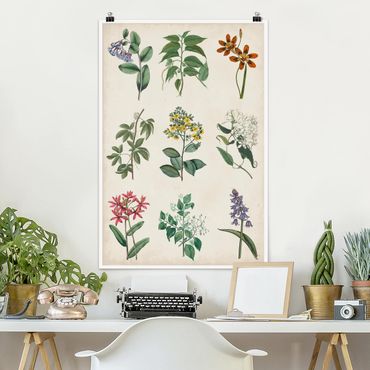 Poster flowers - Botanical Poster I
