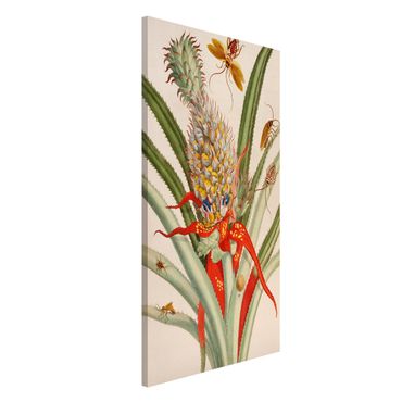 Magnetic memo board - Anna Maria Sibylla Merian - Pineapple With Insects