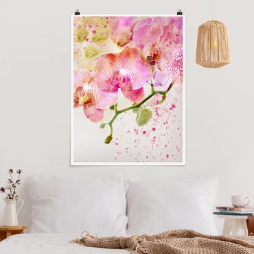 Poster flowers - Watercolour Flowers Orchids