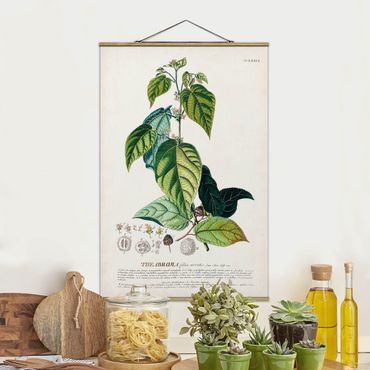 Fabric print with poster hangers - Vintage Botanical Illustration Cocoa