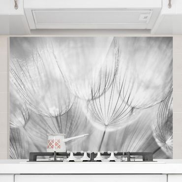 Glass Splashback - Dandelions Macro Shot In Black And White - Landscape 3:4