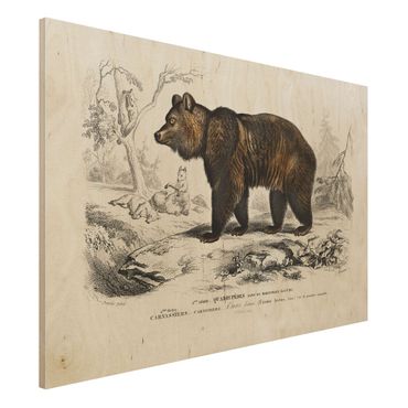 Print on wood - Vintage Board Brown Bear