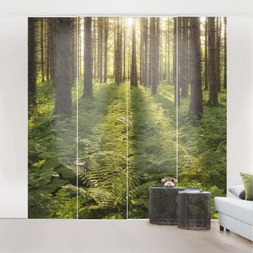 Sliding panel curtains set - Sun Rays In Green Forest