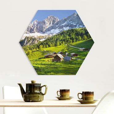 Forex hexagon - Styria Alpine Meadow
