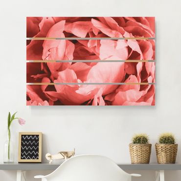 Print on wood - Peony Blossom Coral