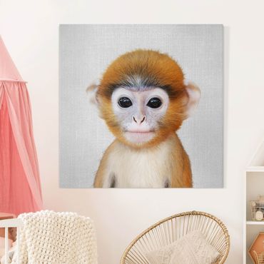 Canvas print - Baby Monkey Anton - Square 1:1