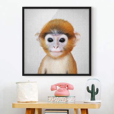Framed poster - Baby Monkey Anton