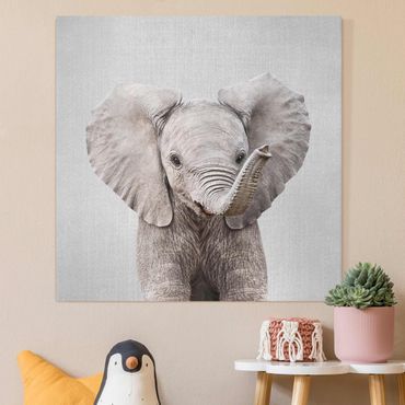 Canvas print - Baby Elephant Elsa - Square 1:1