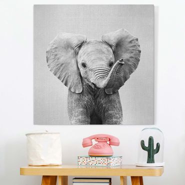 Canvas print - Baby Elephant Elsa Black And White - Square 1:1
