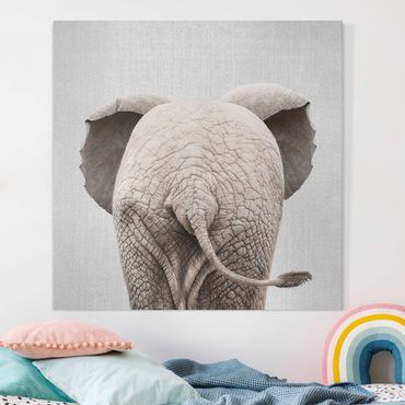 Canvas print - Baby Elephant From Behind - Square 1:1