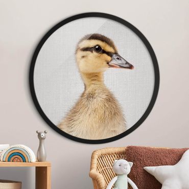 Circular framed print - Baby Duck Eddie