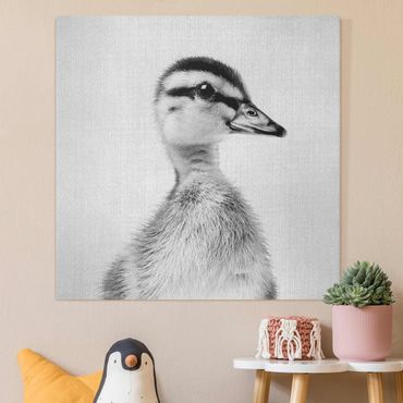 Canvas print - Baby Duck Eddie Black And White - Square 1:1