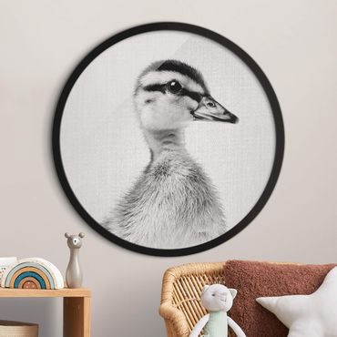 Circular framed print - Baby Duck Eddie Black And White