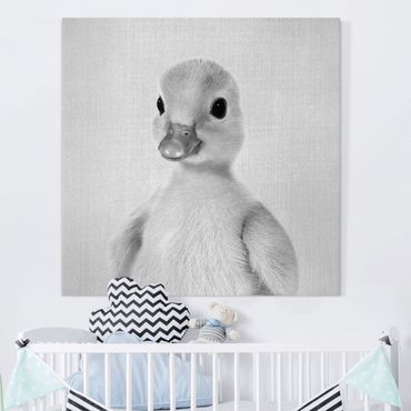Canvas print - Baby Duck Emma Black And White - Square 1:1