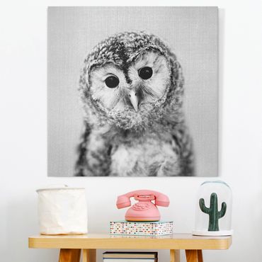 Canvas print - Baby Owl Erika Black And White - Square 1:1