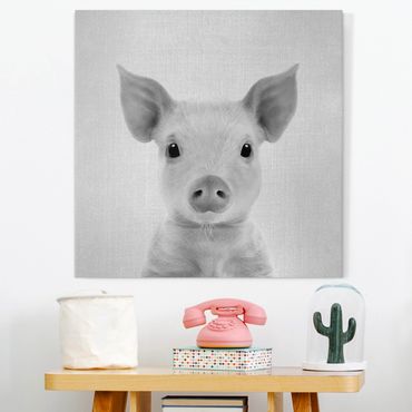 Canvas print - Baby Piglet Fips Black And White - Square 1:1