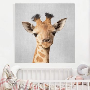 Canvas print - Baby Giraffe Gandalf - Square 1:1