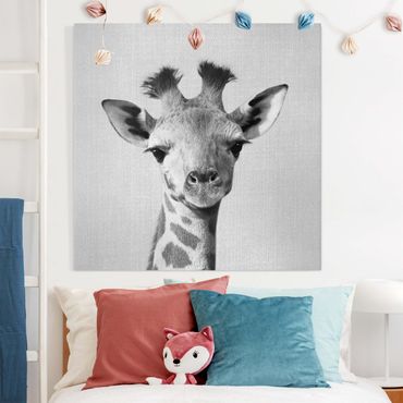 Canvas print - Baby Giraffe Gandalf Black And White - Square 1:1