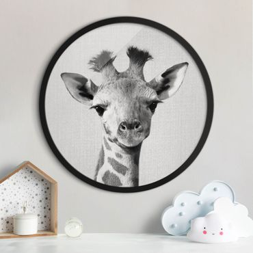 Circular framed print - Baby Giraffe Gandalf Black And White