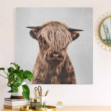 Canvas print - Baby Highland Cow Henri - Square 1:1