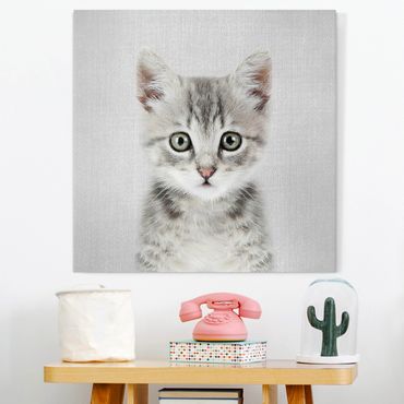 Canvas print - Baby Cat Killi - Square 1:1