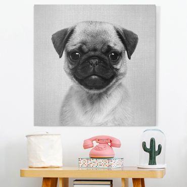 Canvas print - Baby Pug Moritz Black And White - Square 1:1