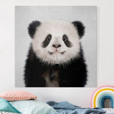 Canvas print - Baby Panda Prian - Square 1:1