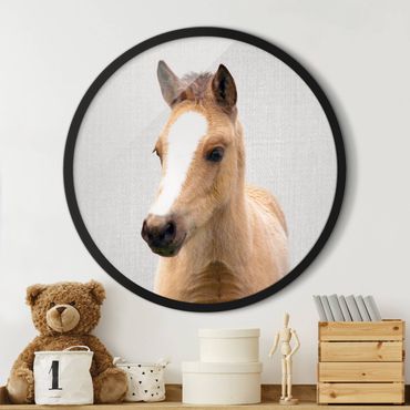 Circular framed print - Baby Horse Philipp