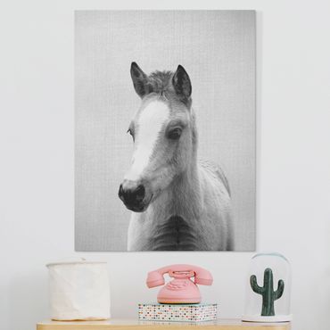 Canvas print - Baby Horse Philipp Black And White - Portrait format 3:4