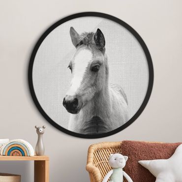 Circular framed print - Baby Horse Philipp Black And White