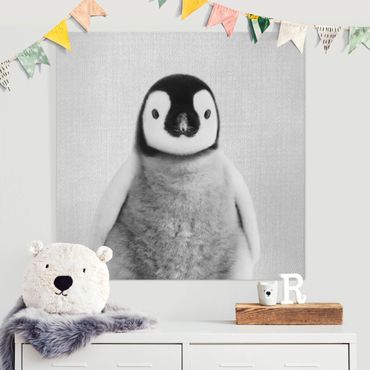 Canvas print - Baby Penguin Pepe Black And White - Square 1:1