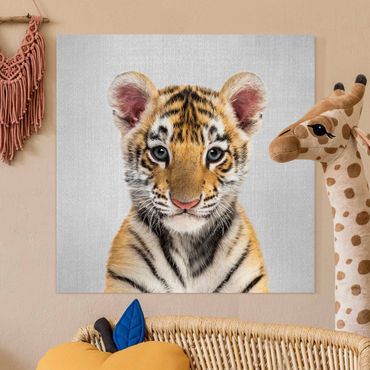 Canvas print - Baby Tiger Thor - Square 1:1