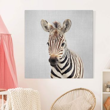 Canvas print - Baby Zebra Zoey - Square 1:1