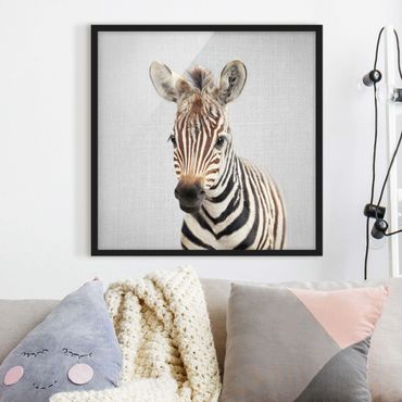 Framed poster - Baby Zebra Zoey