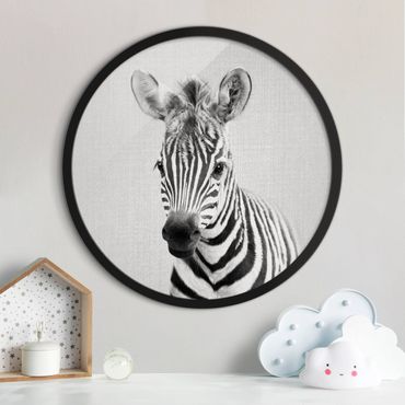 Circular framed print - Baby Zebra Zoey Black And White