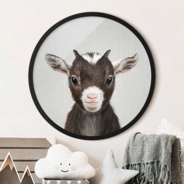Circular framed print - Baby Goat Zelda