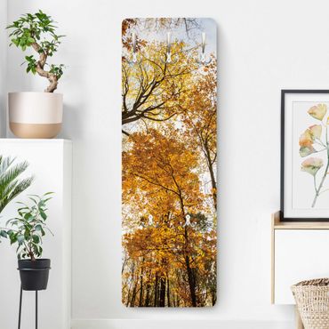 Coat rack modern - Trees in autumnal colouring