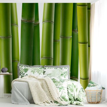 Wallpaper - Bamboo Plants