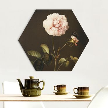 Alu-Dibond hexagon - Barbara Regina Dietzsch - French Rose with Bumblebee