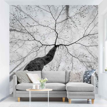 Wallpaper - Treetops In The Sky