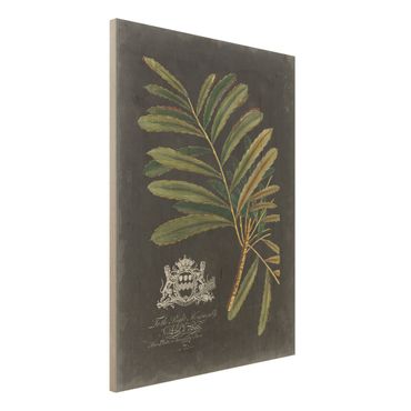 Print on wood - Vintage Royales Foliage On Black II