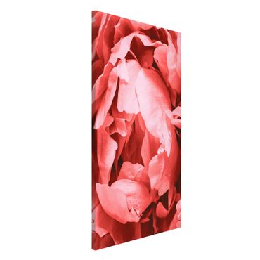Magnetic memo board - Peony Blossom Coral