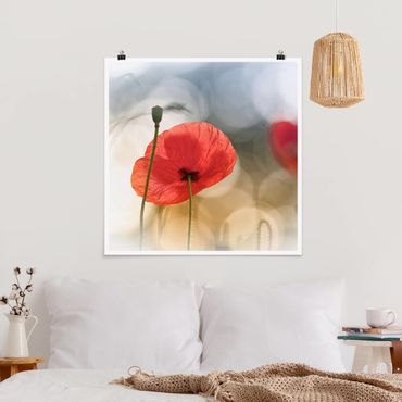Poster - Poppies In The Morning