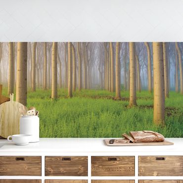 Kitchen wall cladding - Morning In The Forest