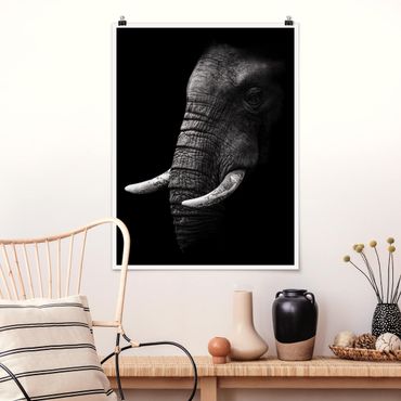 Poster animals - Dark Elephant Portrait