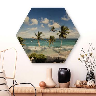 Wooden hexagon - Beach Of Barbados