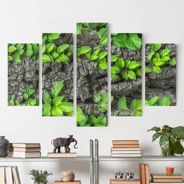 Print on canvas 5 parts - Ivy Tendrils Tree Bark